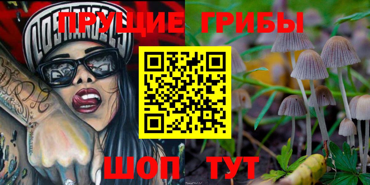 Псилоцибиновые грибы GOLDEN TEACHER Алексин